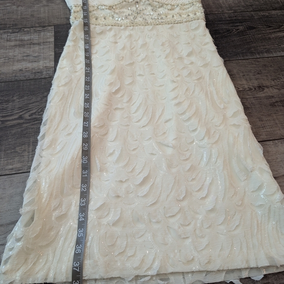 Sue Wong Beaded Sheath Wedding Dress V-Neck Sleeveless - Picture 9 of 9